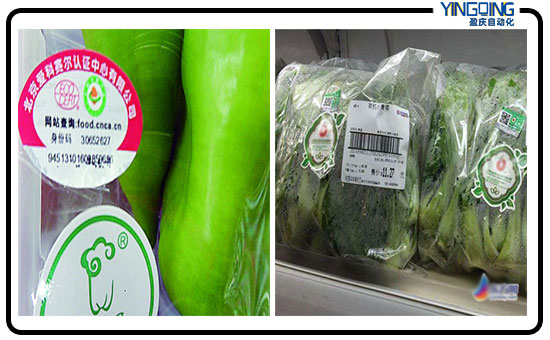 贴标机于新鲜蔬菜贴标解决方案